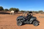 Buggy adventure in Agadir - Image 2