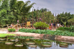 Croco parc trip from Agadir - Crocodile & Anaconda - Image 3