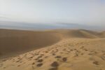 Agadir half day trip to Sand dunes - Image 4