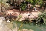 Paradise Valley trip from Taghazout - Image 4