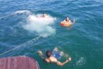 Boat trip in Agadir - Image 2