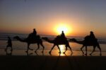 Camel ride in Taghazout - Image 2