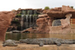 Croco parc trip from Agadir - Crocodile & Anaconda - Image 2