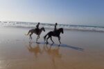 Horse ride in Taghazout - Image 4