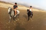 Horse ride in Agadir