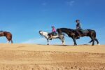 Horse ride in Agadir - Image 3