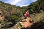 Agadir day trip to Paradise Valley - Image 4