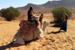 Small desert day trip from Agadir - Image 3