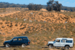 Souss Massa park tour from Agadir - Image 4