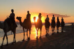Barbecue camel ride in Agadir