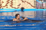 Dolphin world trip from Agadir - Image 2