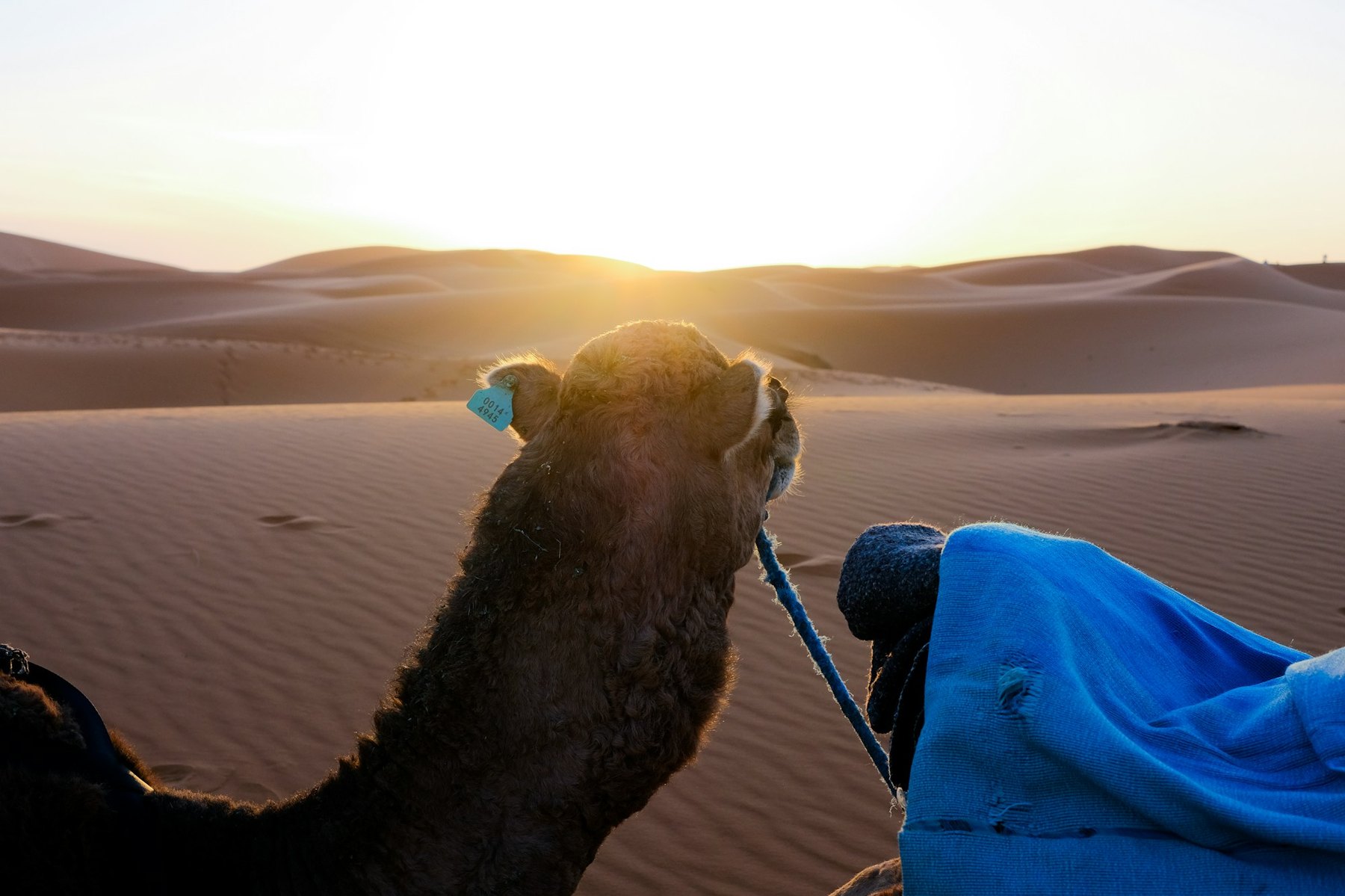 3-Day Sahara Tour from Agadir & Taghazout