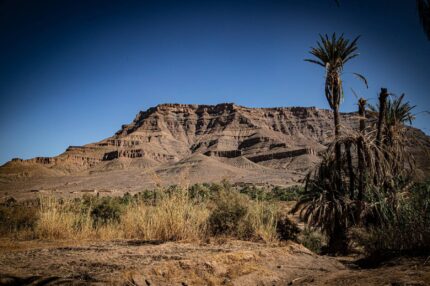 Palm trees and desert mountains in the Draa Valley