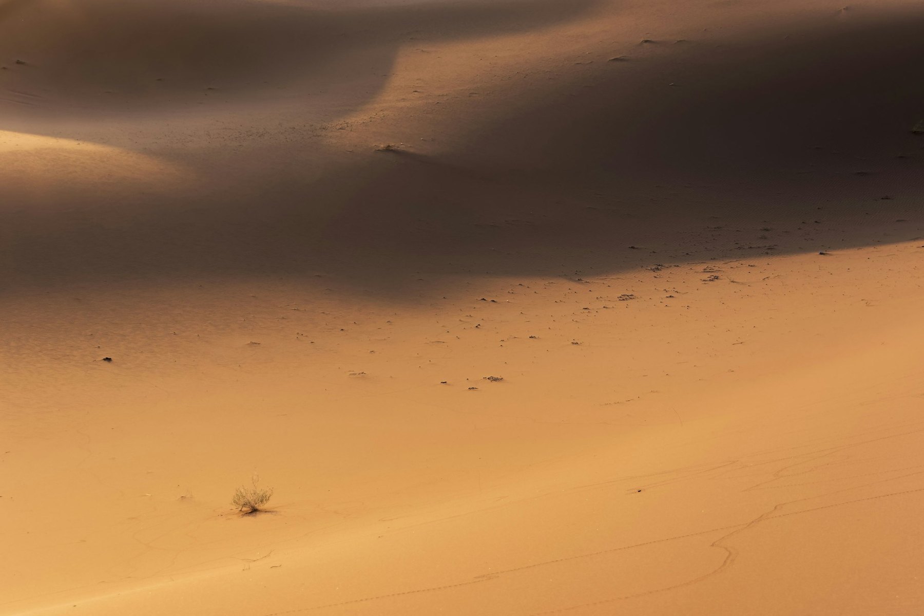 8-Day South Morocco Discovery from Marrakech