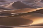 Rolling sand dunes of the Moroccan Sahara